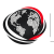 Global Daily News
